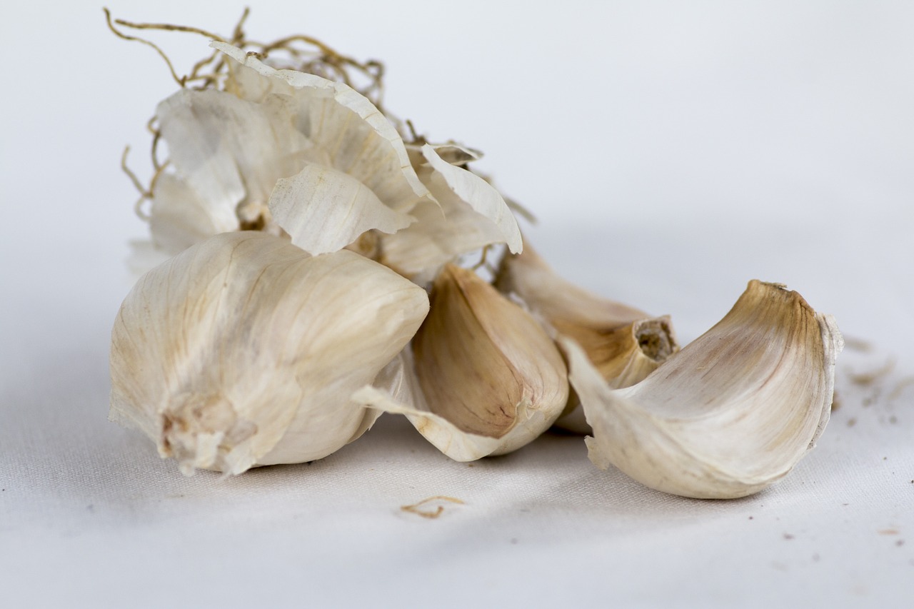 garlic cloves of garlic condiment free photo