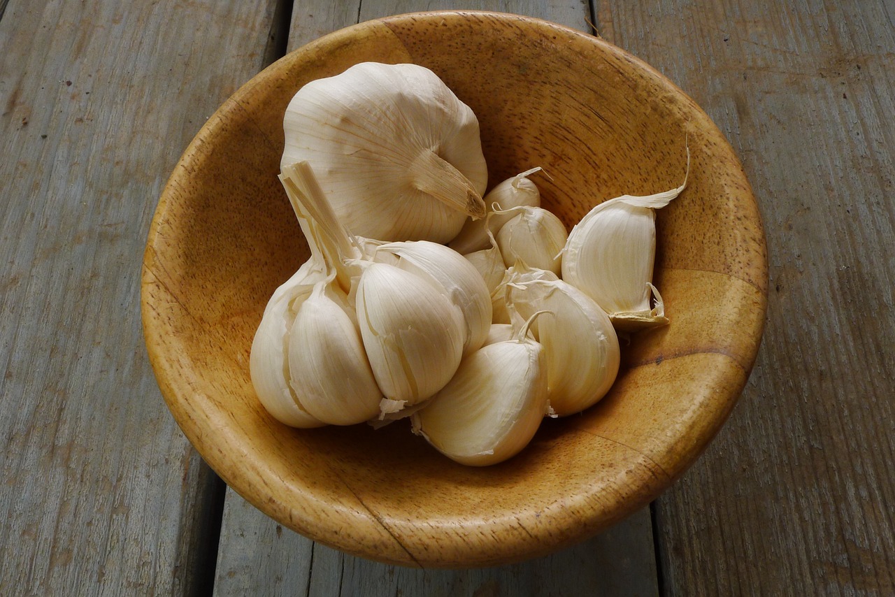 garlic organic fresh free photo