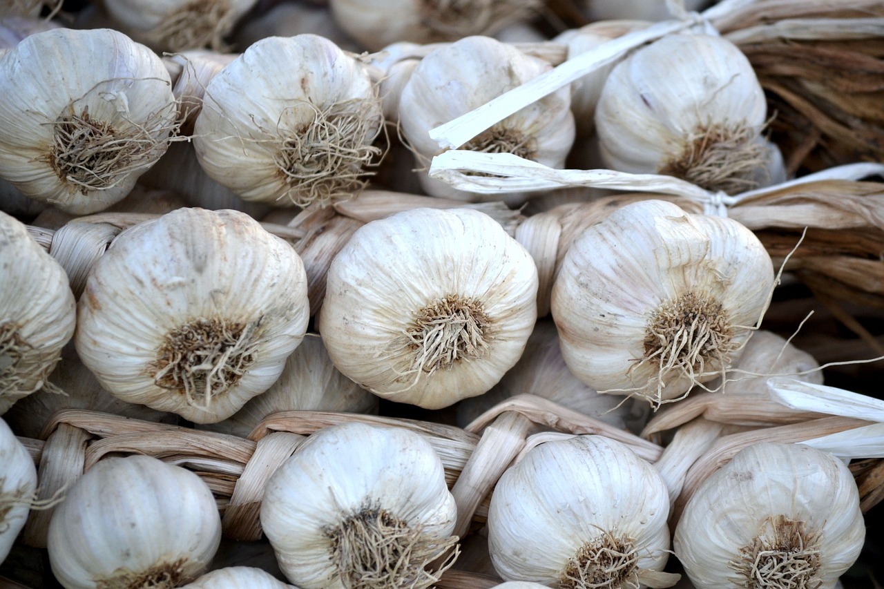 garlic white vegetables free photo