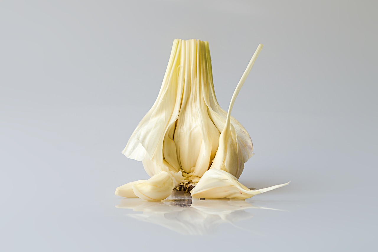 garlic head of garlic pod free photo