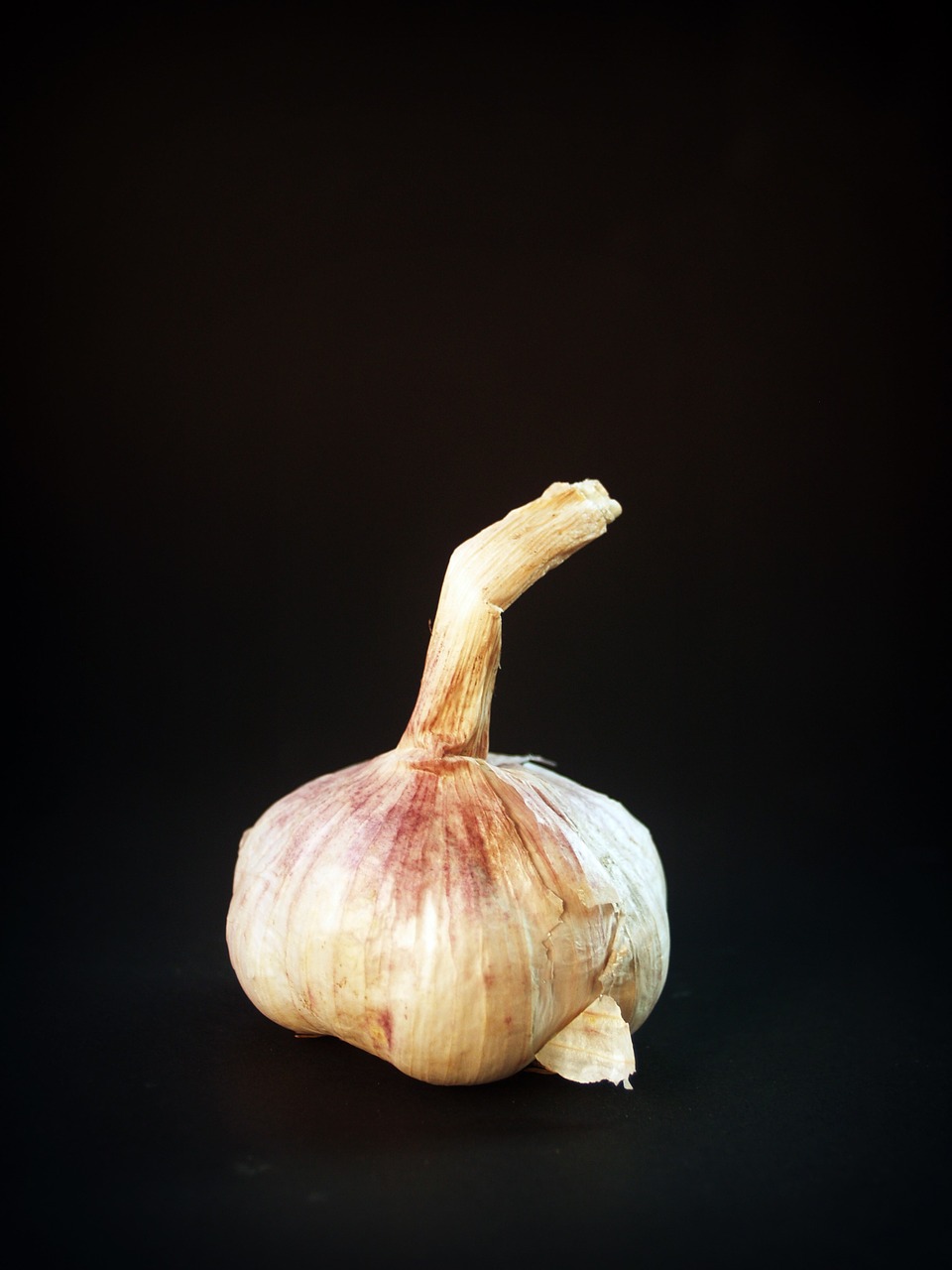 garlic meals white free photo