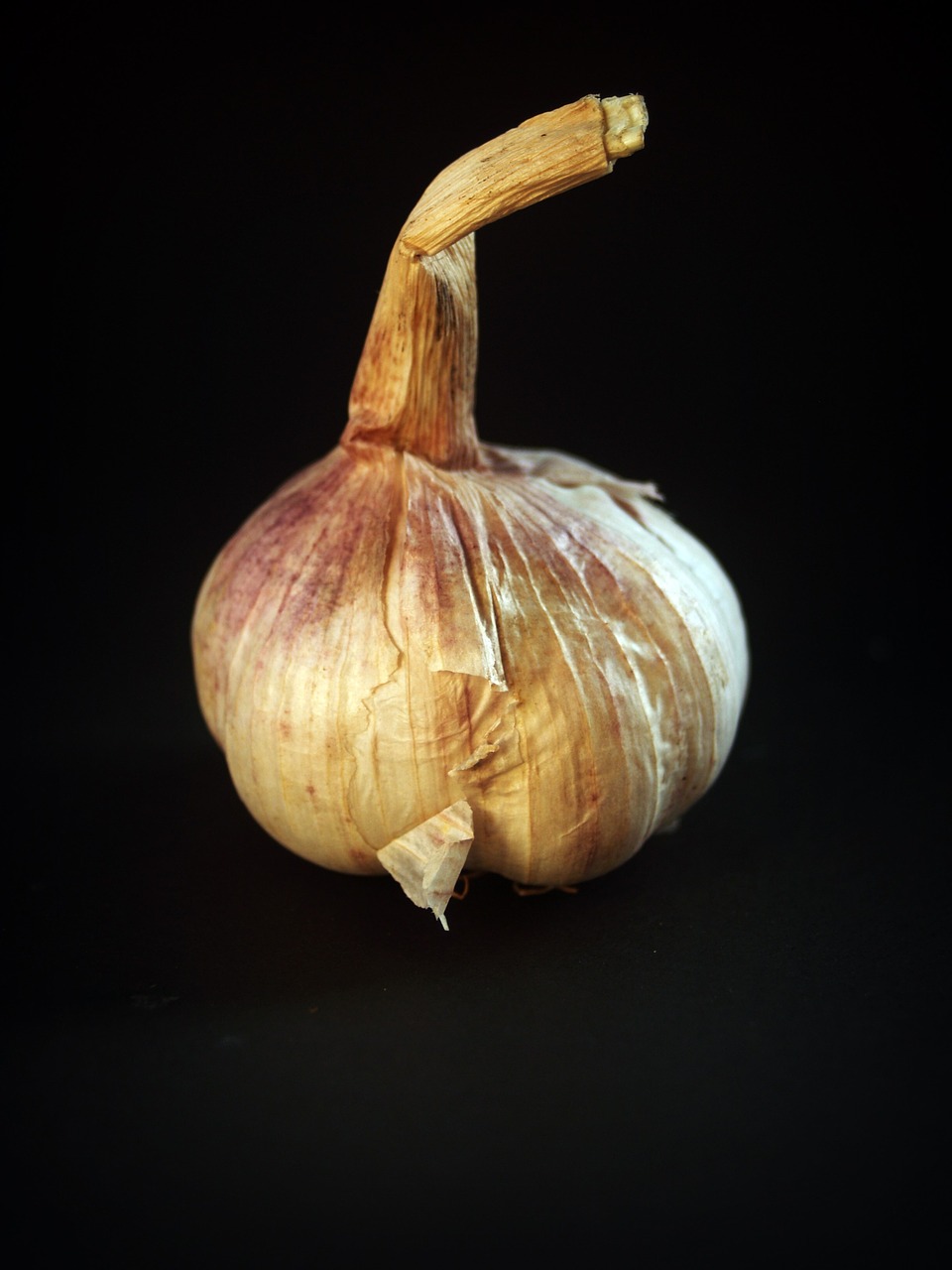garlic meals white free photo