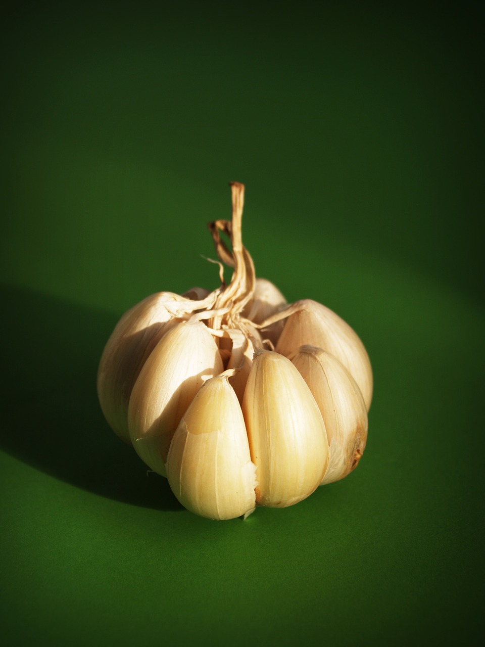 garlic meals seasoning free photo