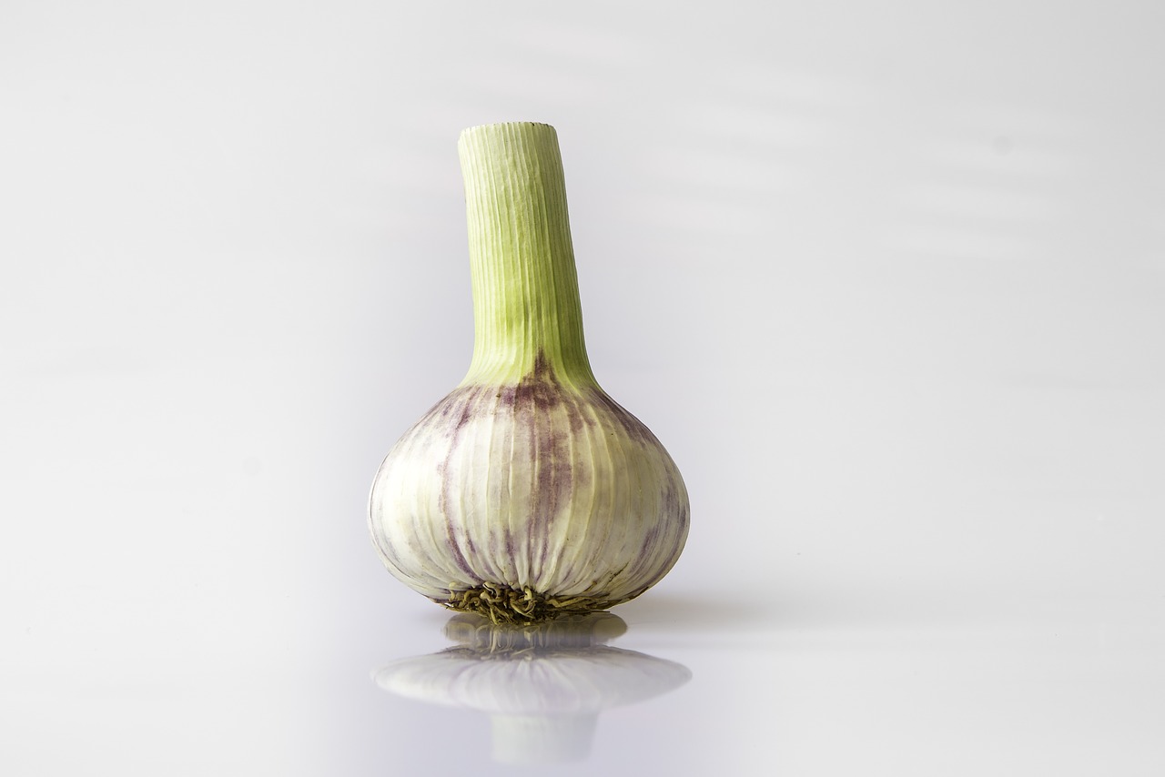 garlic head of garlic violet free photo