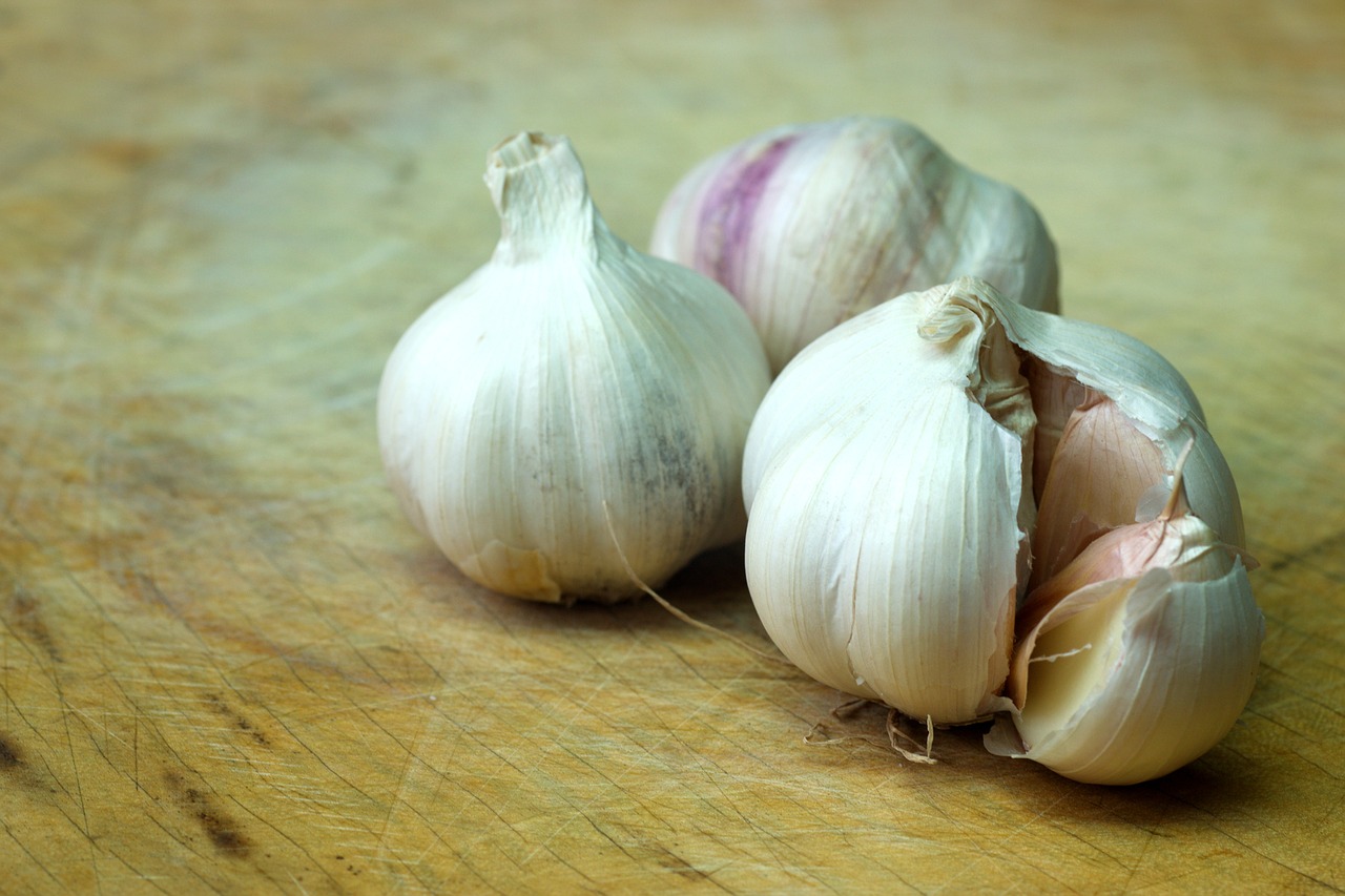 garlic food condiment free photo