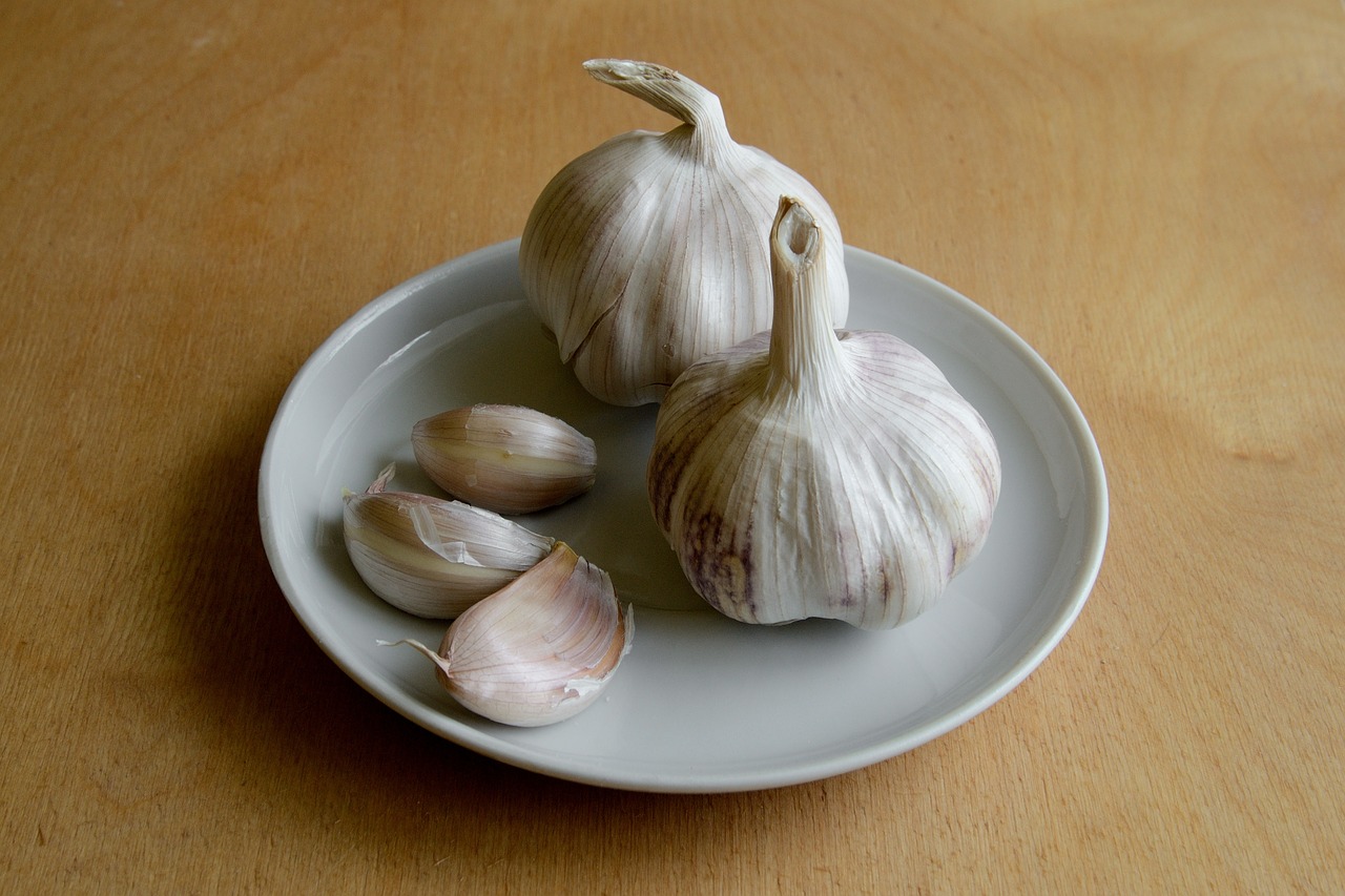 garlic antibiotic flu free photo