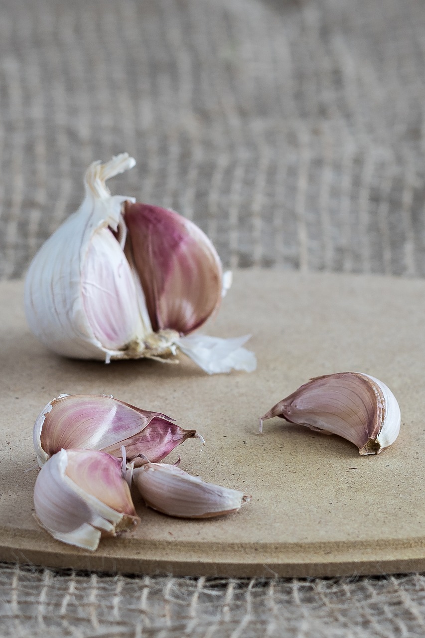 garlic cloves of garlic clove of garlic free photo