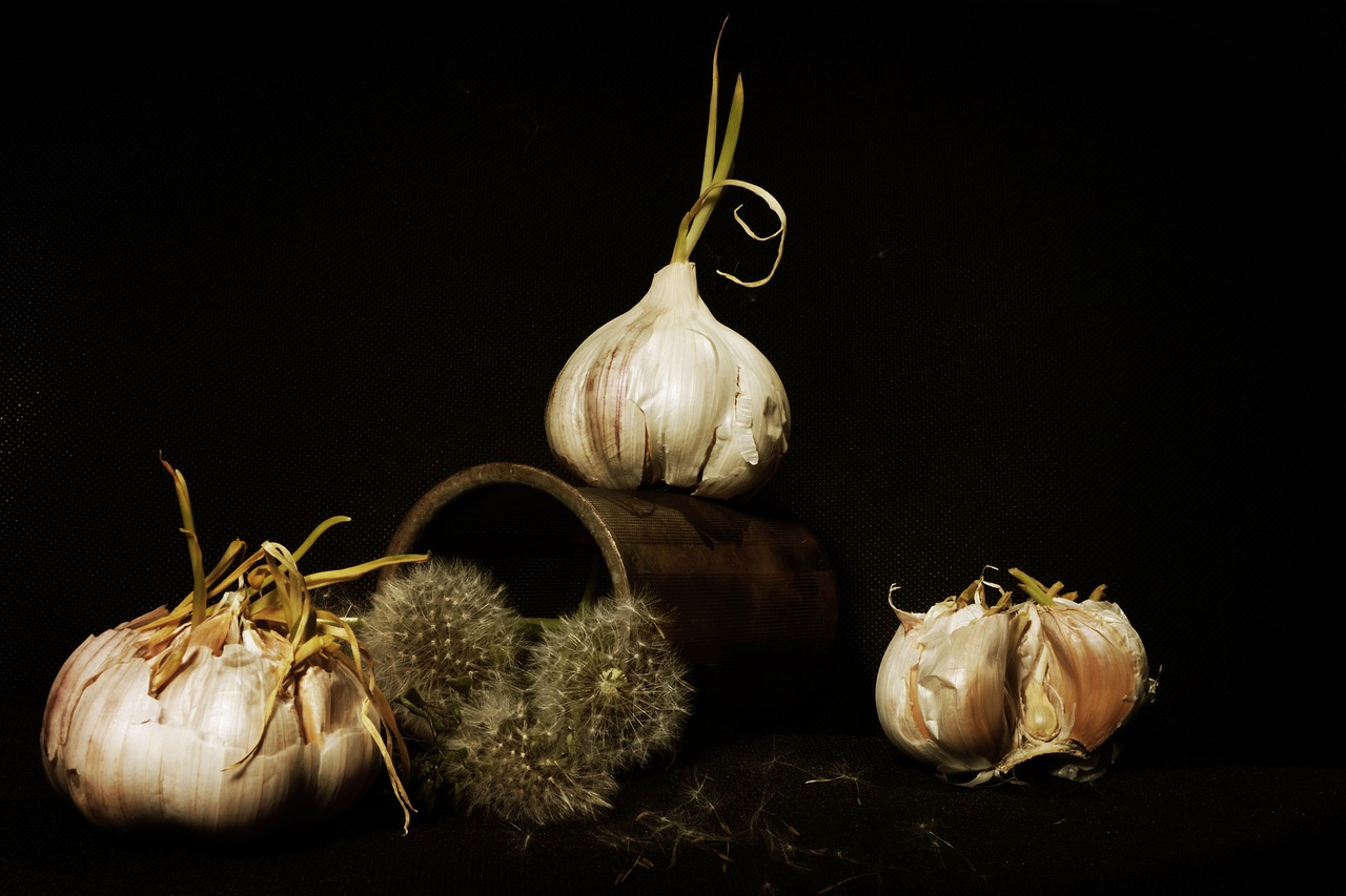 garlic still life staging free photo