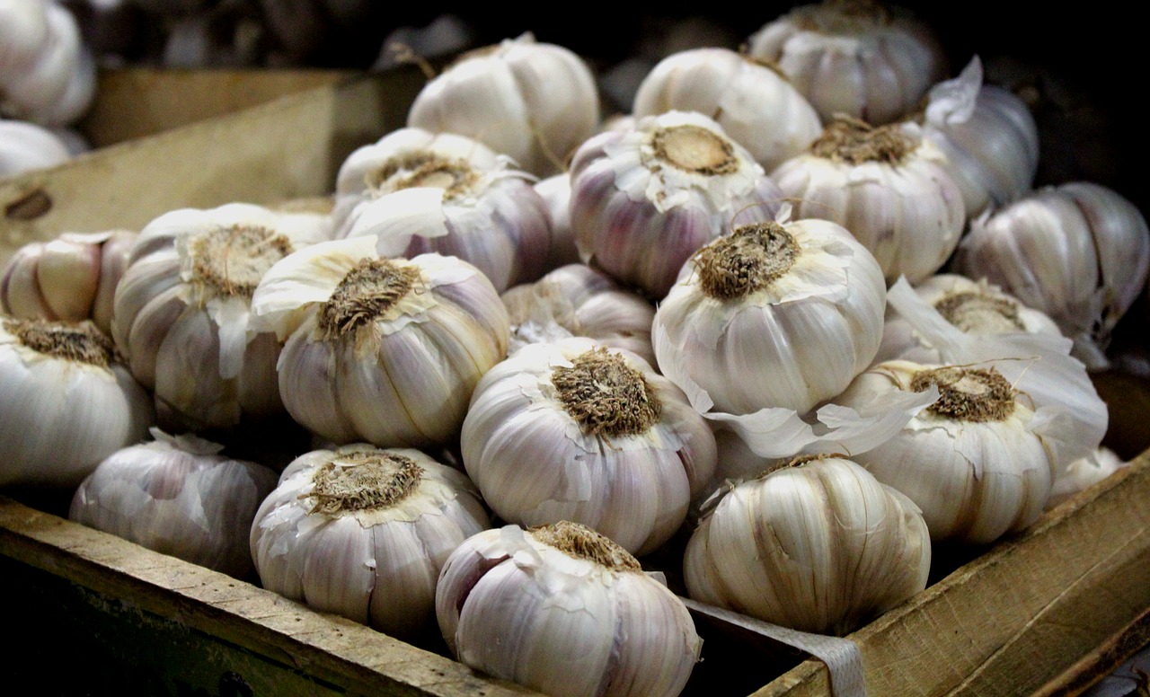 garlic market vegetables free photo
