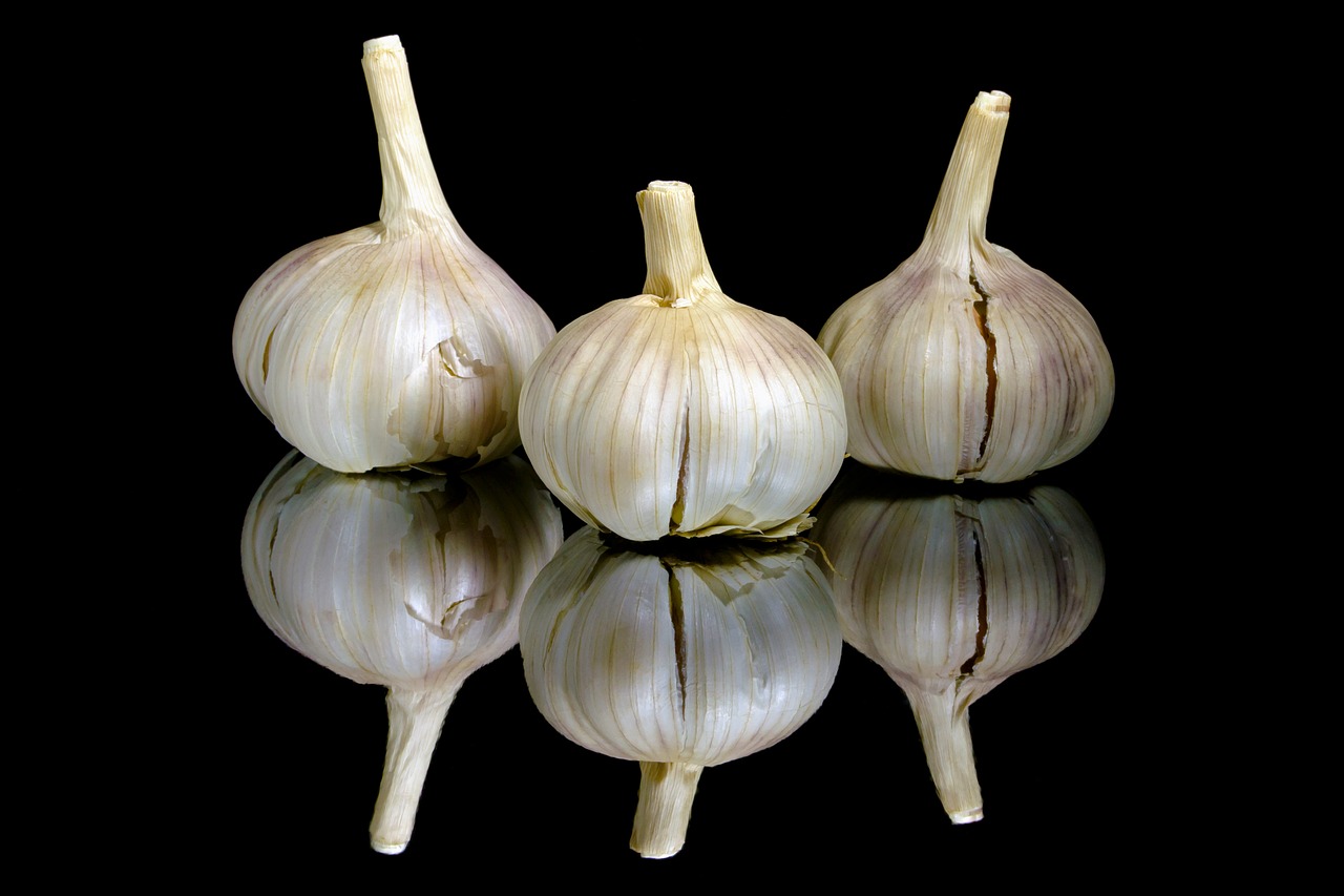 garlic food seasoning free photo