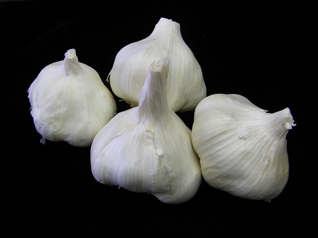 garlic food vegetable free photo