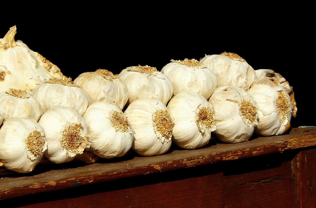 garlic smell mediterranean free photo