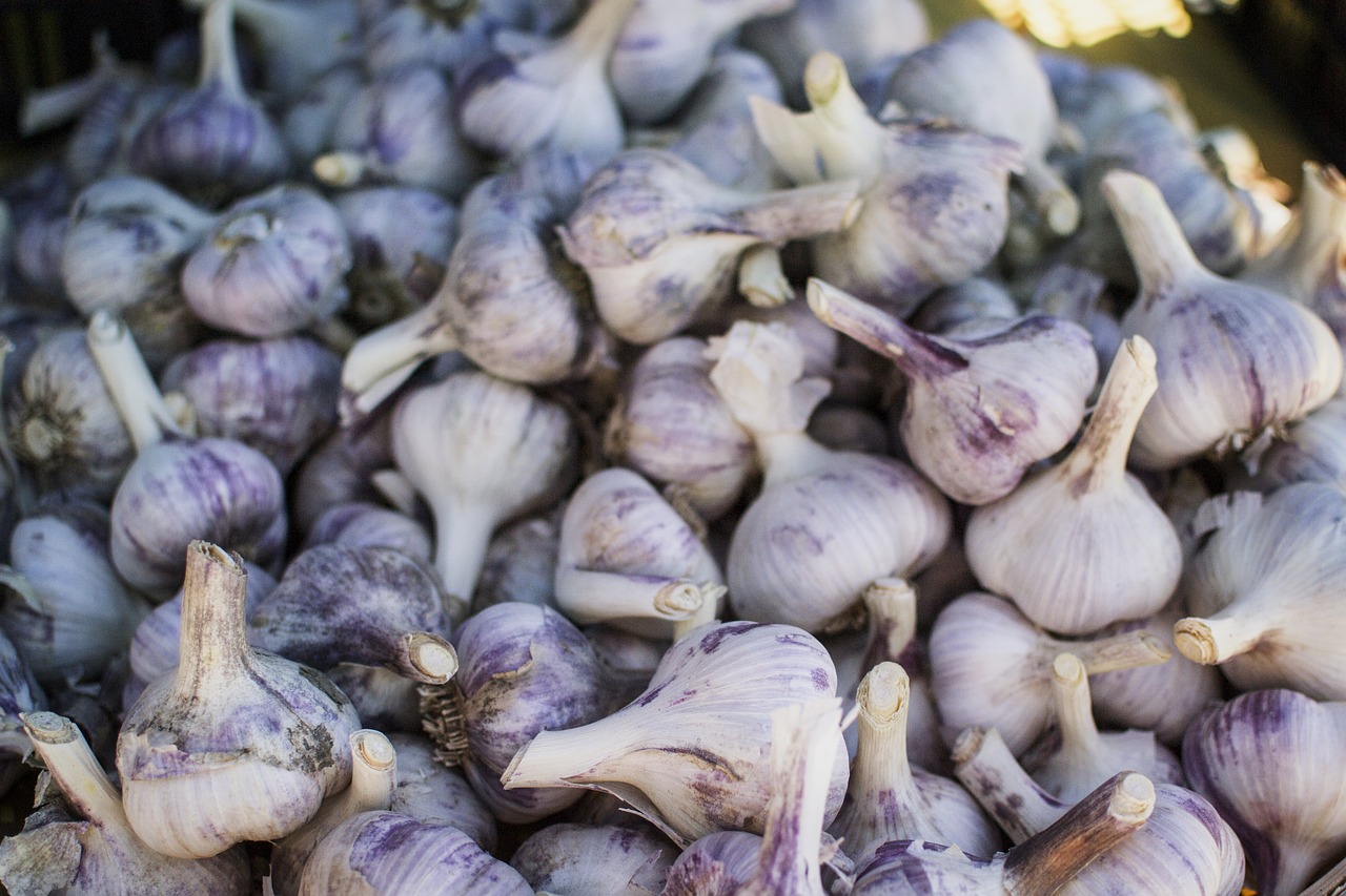 garlic healthy health free photo