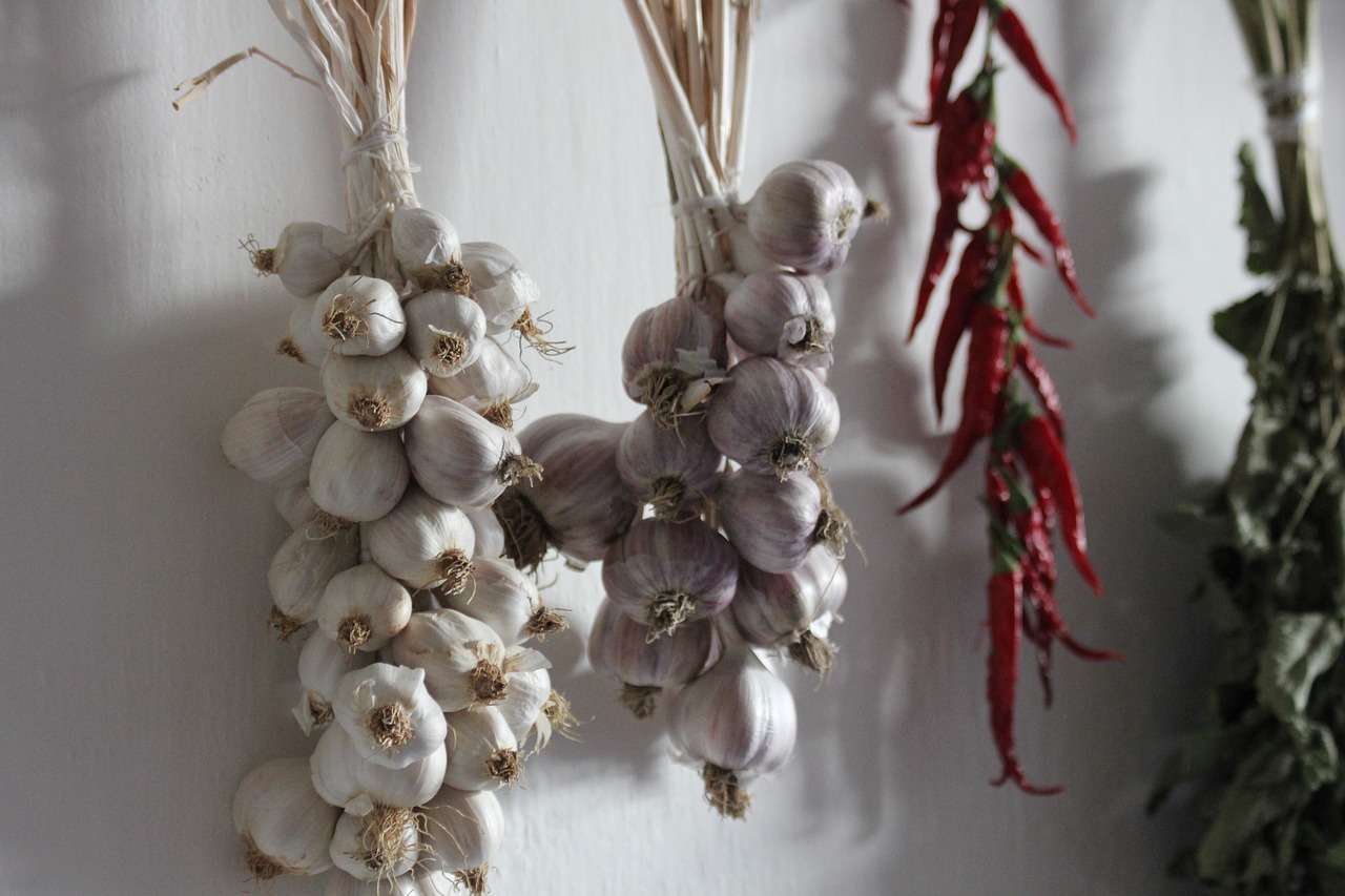 garlic hang village free photo