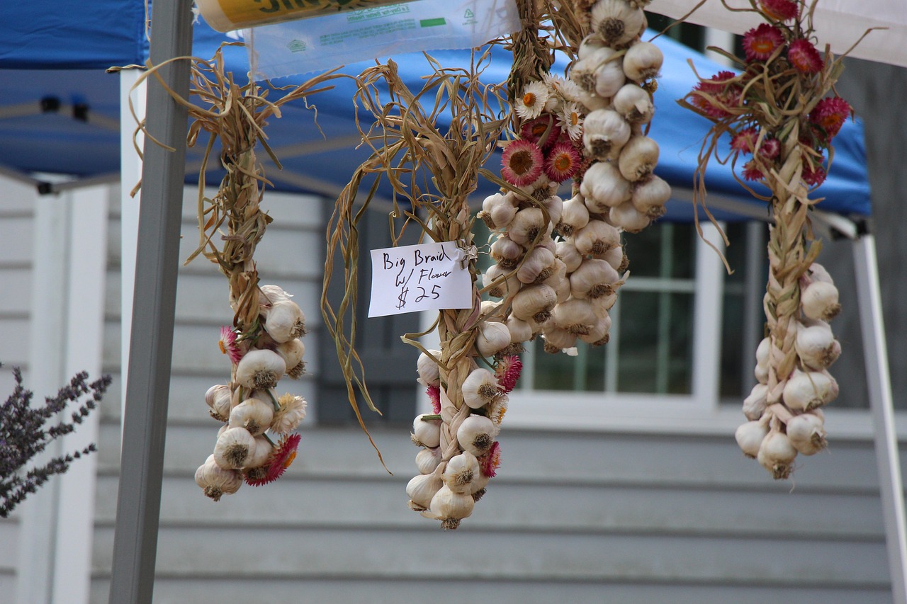 garlic festival food free photo
