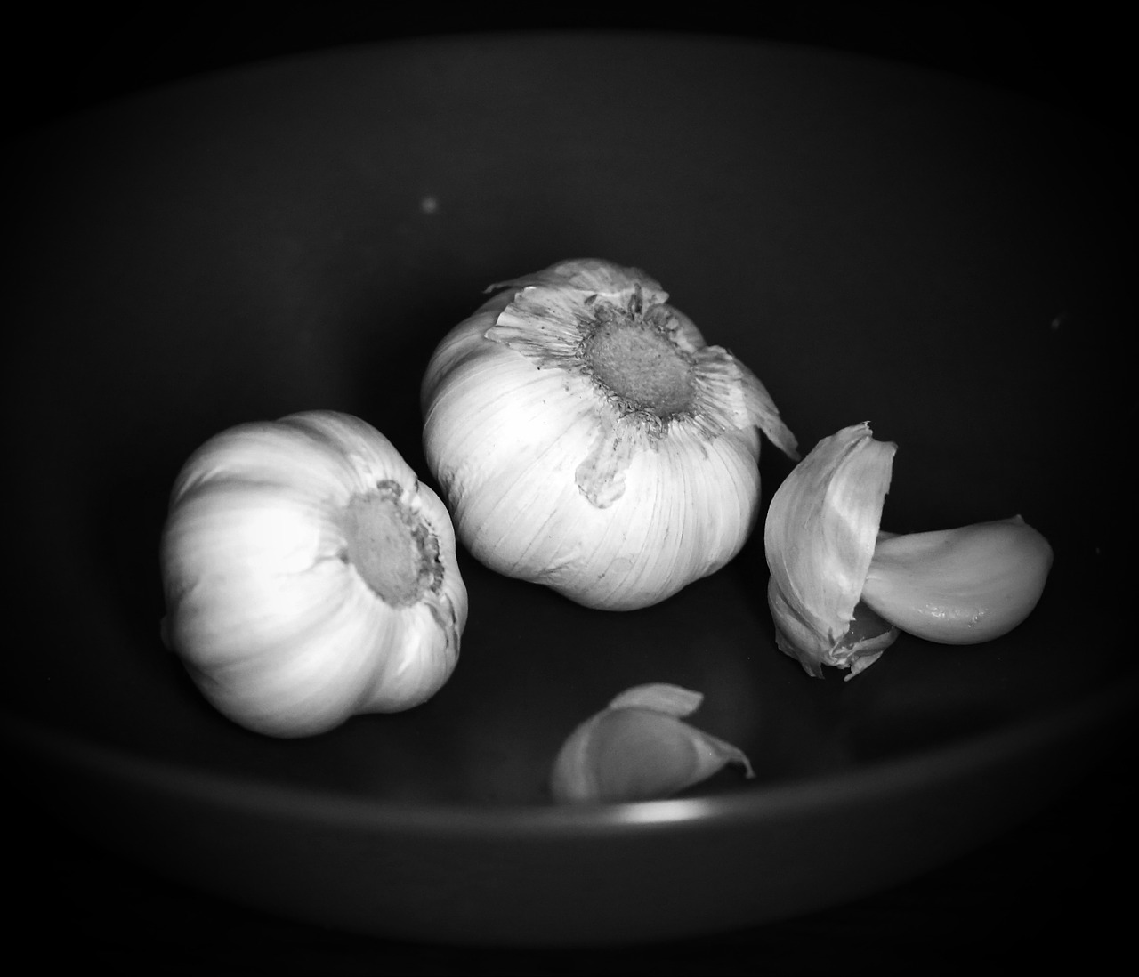 garlic spices food free photo