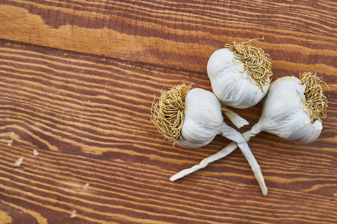 garlic health white free photo