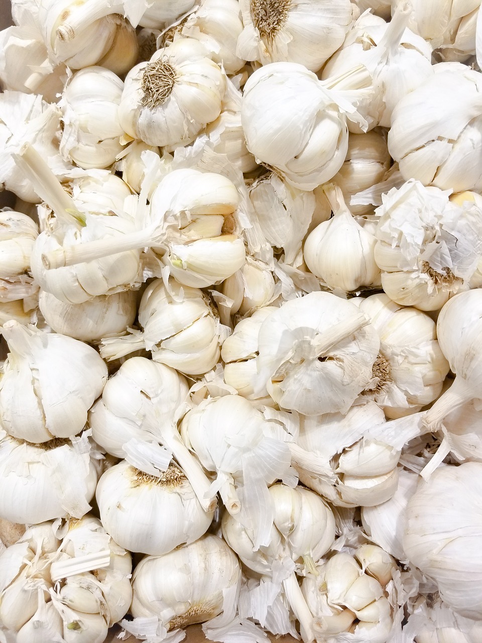 garlic ingredient food free photo