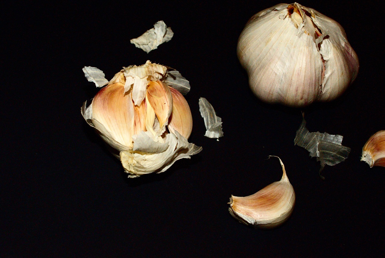 garlic black food free photo