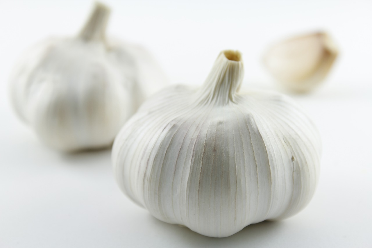 garlic condiment seasoning free photo