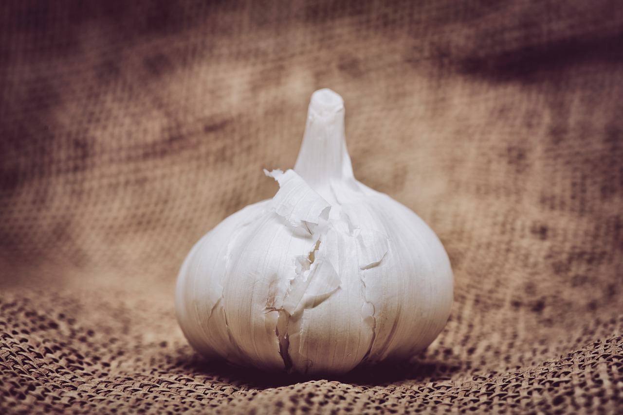 garlic burlap vegetable free photo