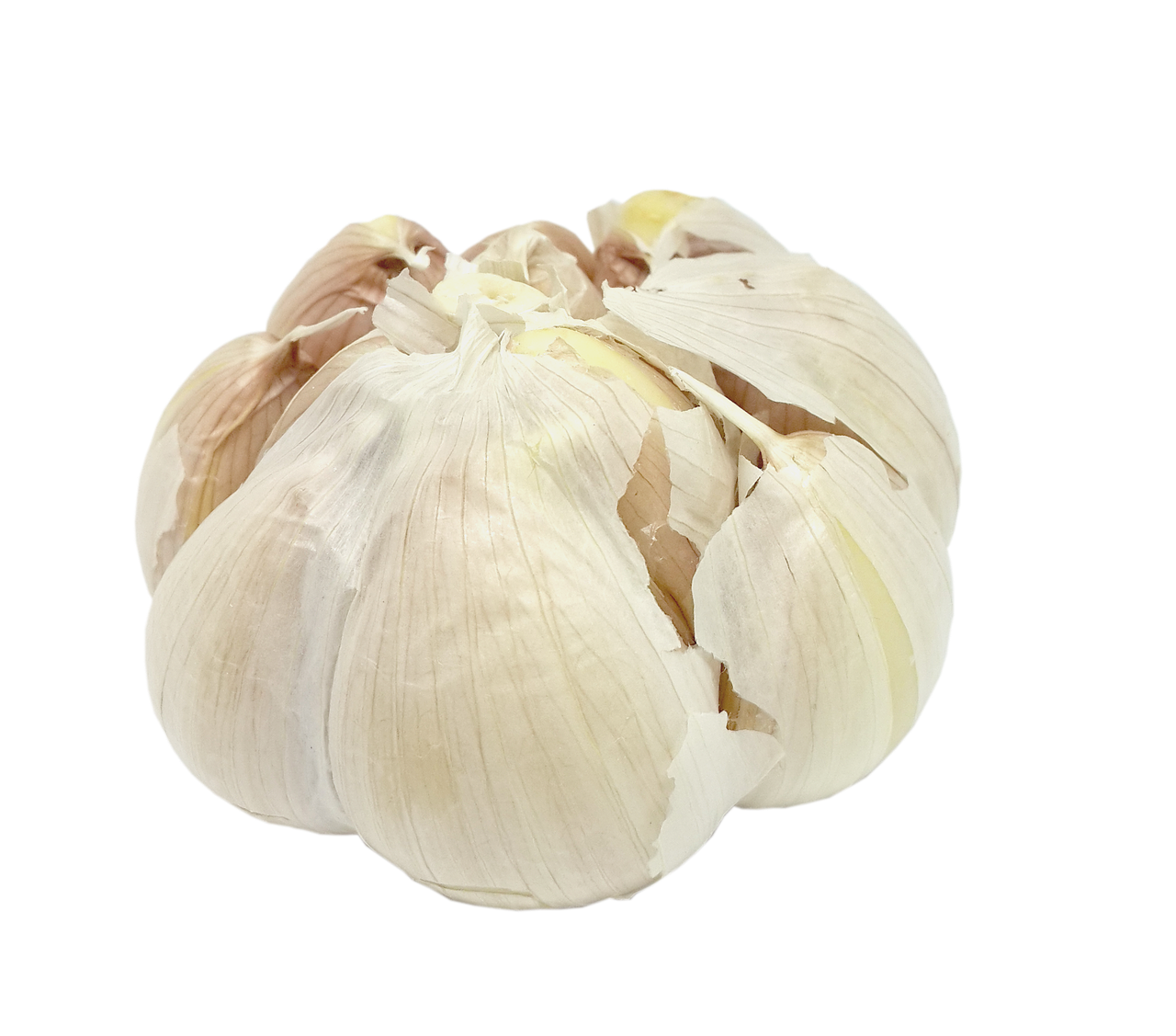 garlic transparent background nutrition free photo