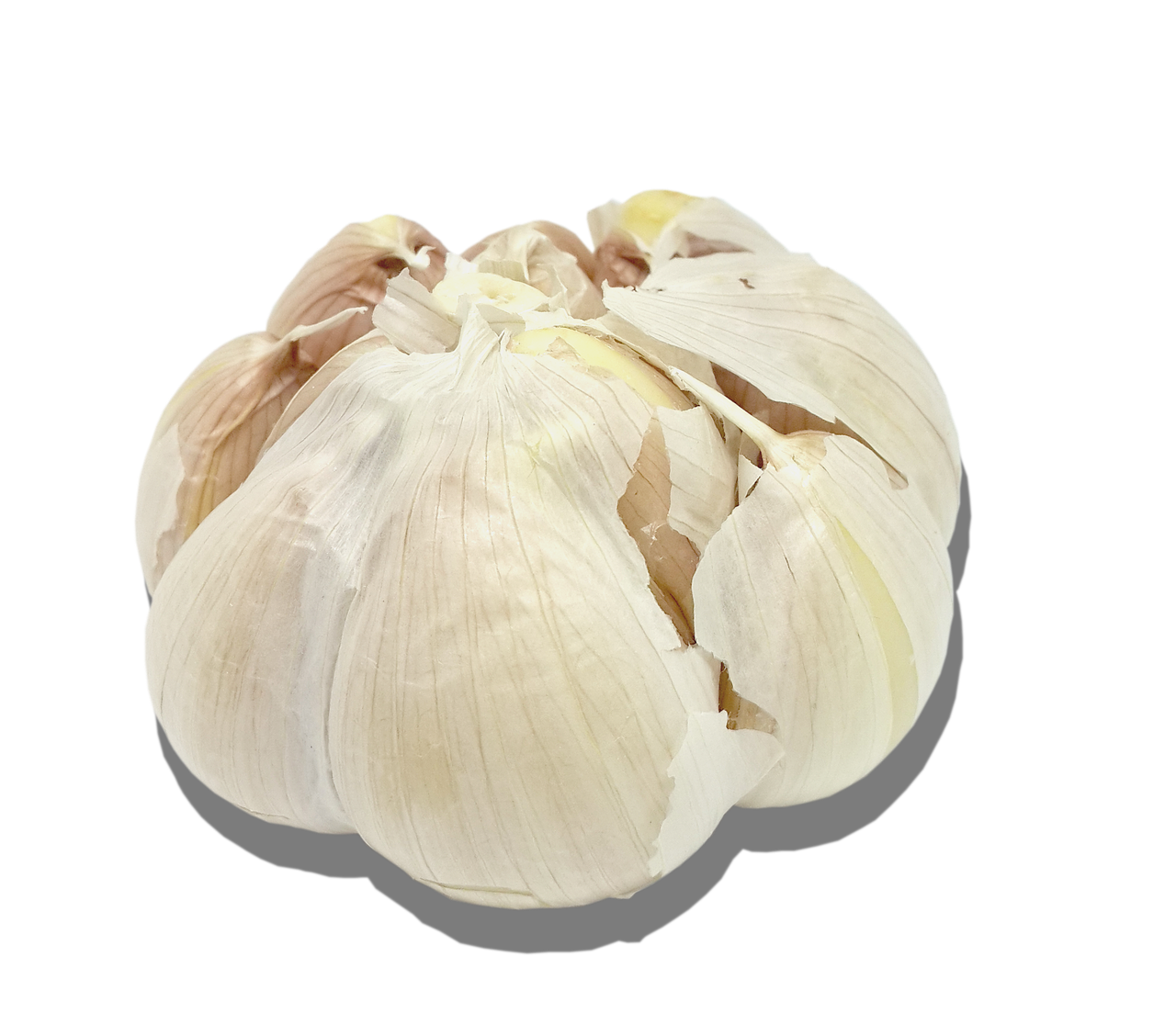 garlic transparent background nutrition free photo