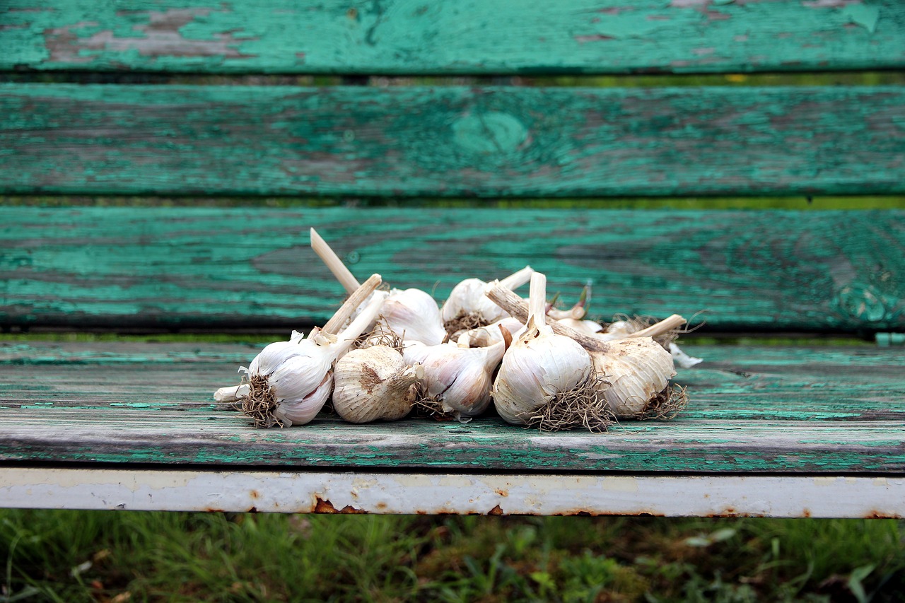 garlic  vegetable  wood free photo