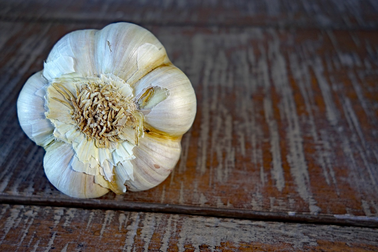 garlic  vegetables free pictures free photo