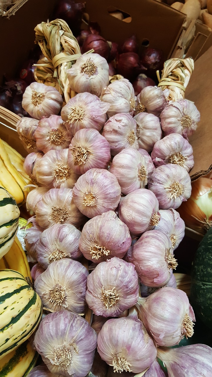 garlic  organic  market free photo