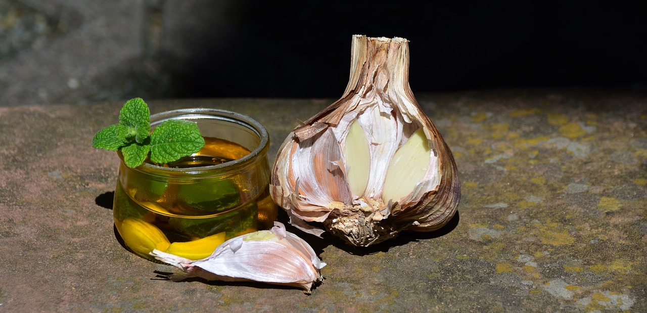 garlic  leek  oil free photo