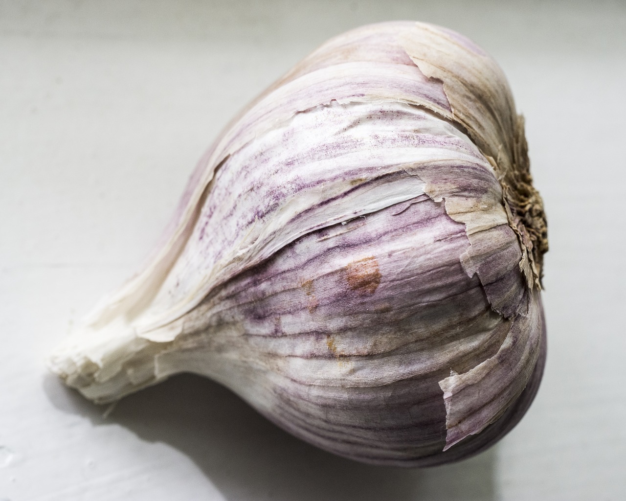 garlic  garlic bulb  food free photo