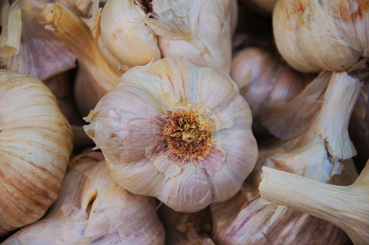garlic  health  shopping free photo