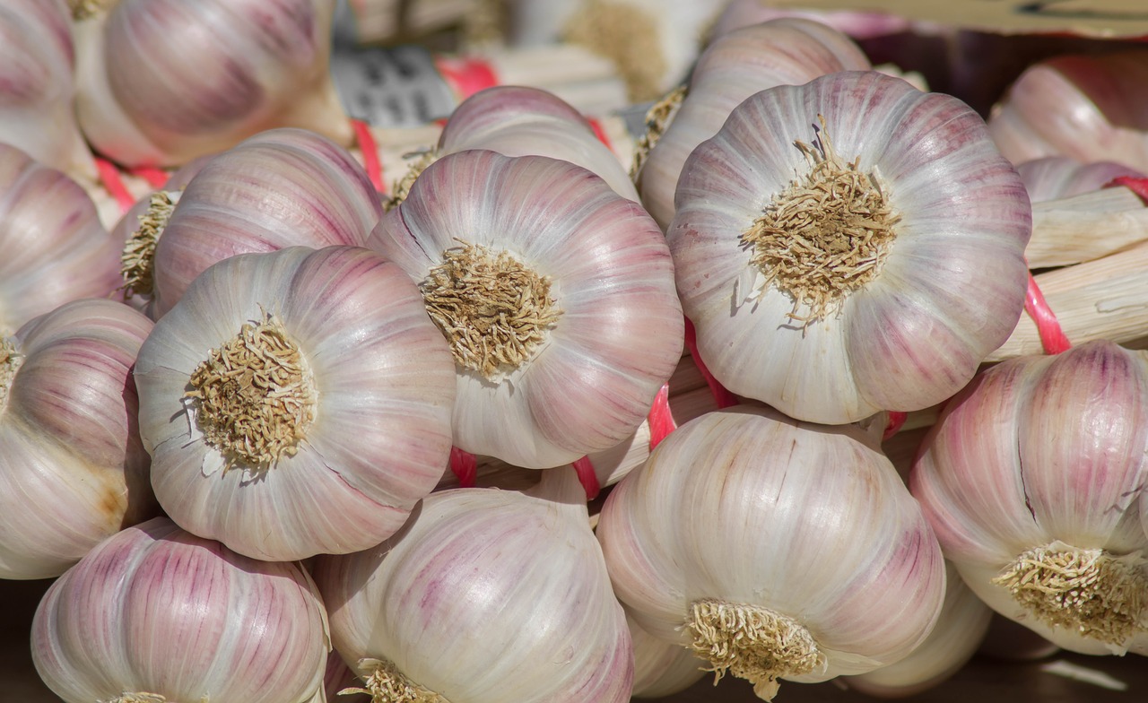 garlic  market  garden free photo