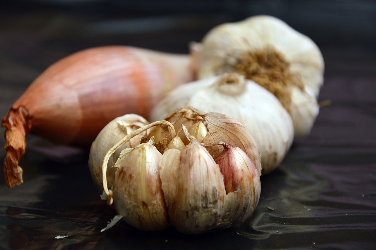 garlic  onion  vegetables free photo