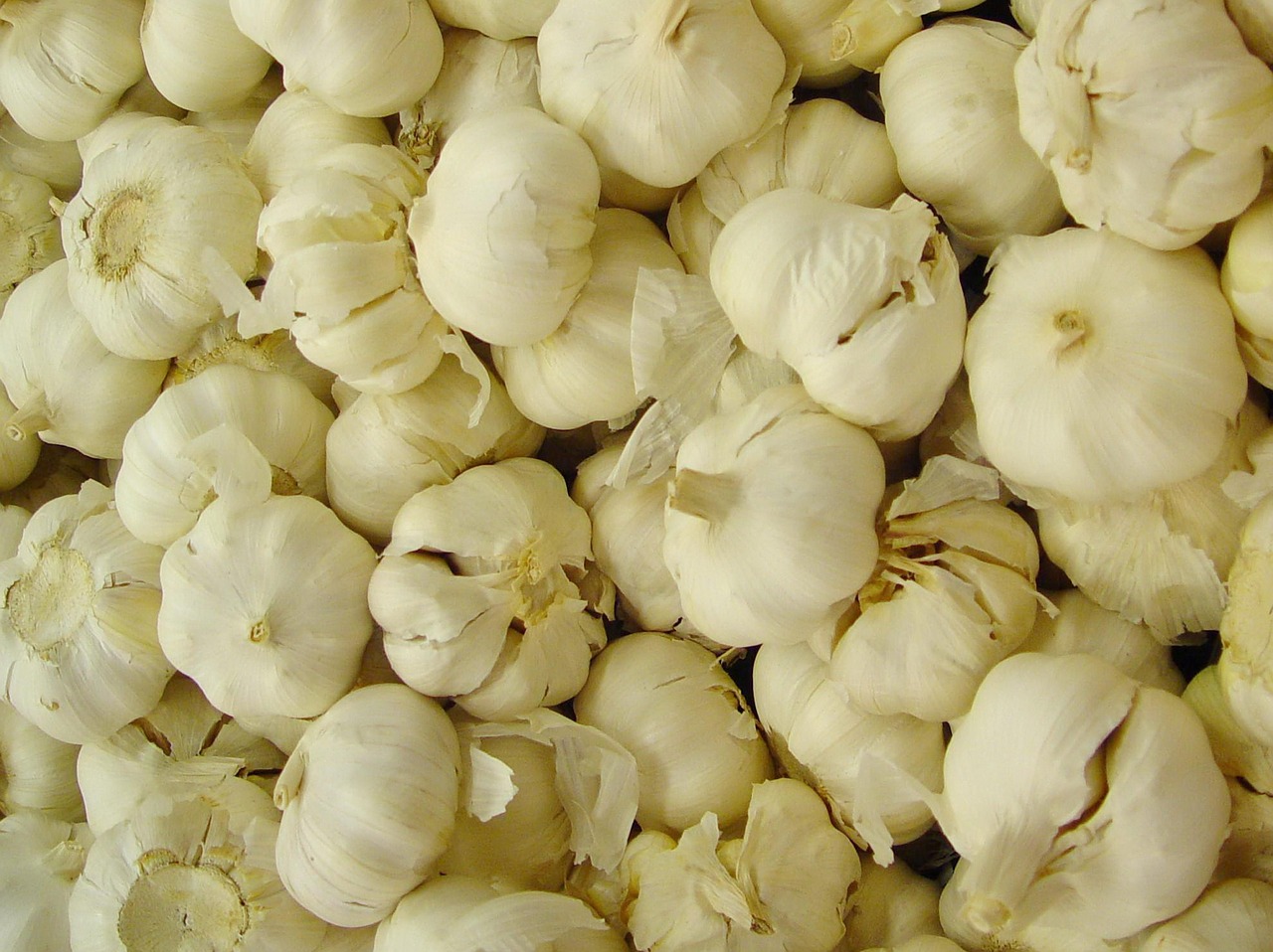 garlic white vegetables free photo