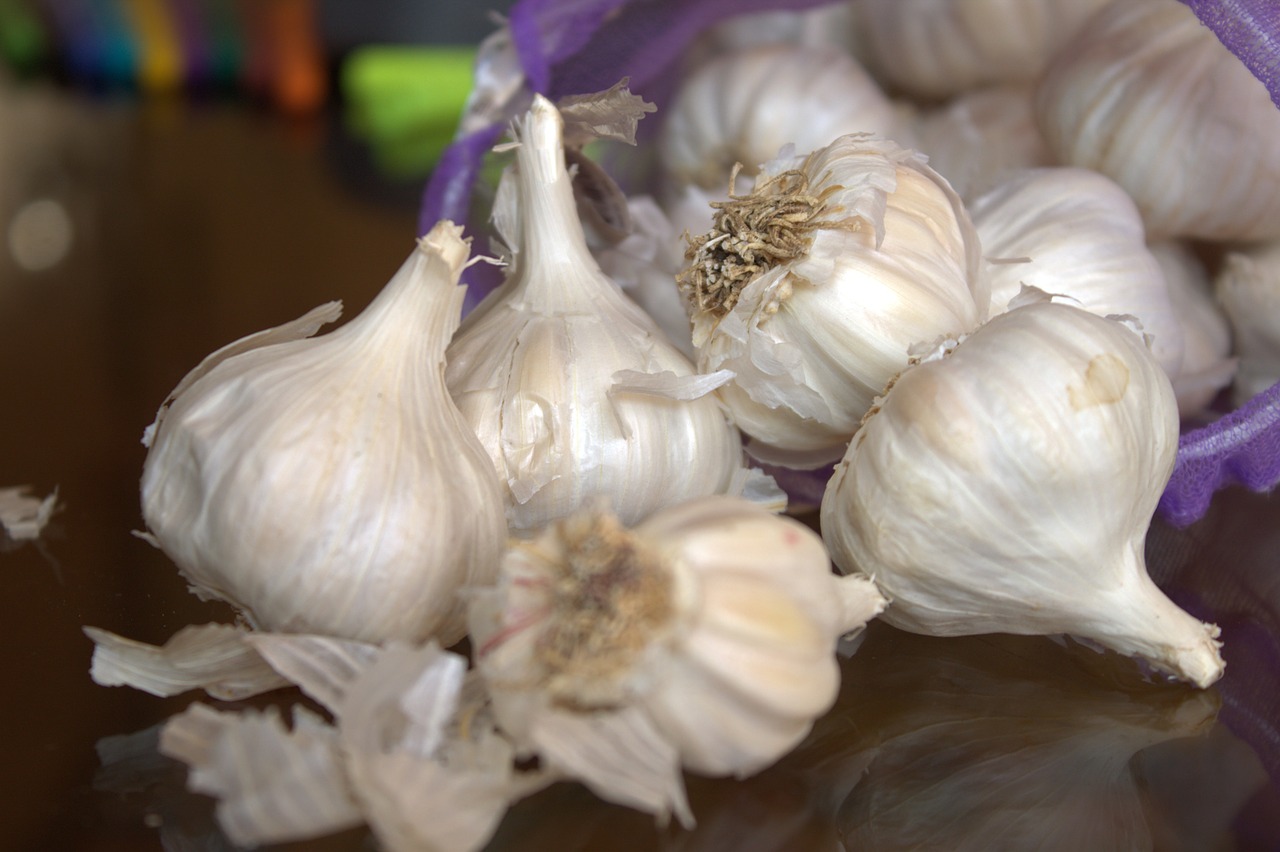 garlic fresh spices free photo