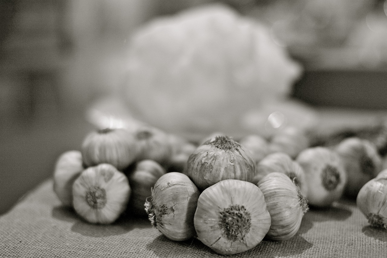 garlic  italy  italian free photo