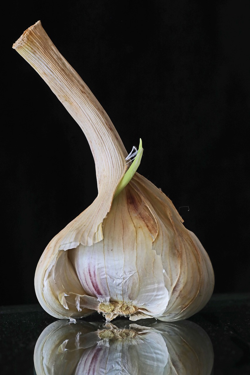 garlic  food  substantial free photo