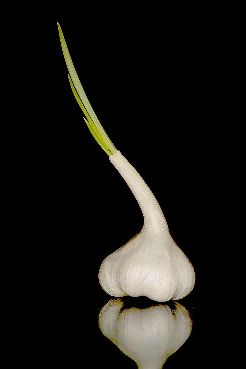 garlic  sharp  nutrition free photo
