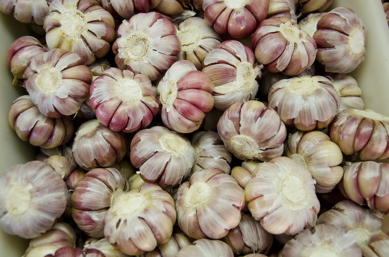 garlic condiments seasoning free photo