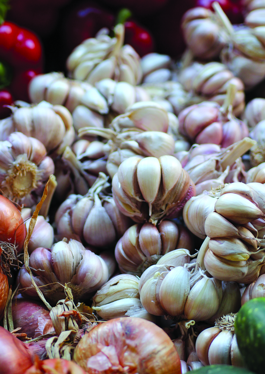garlic  market  fresh free photo