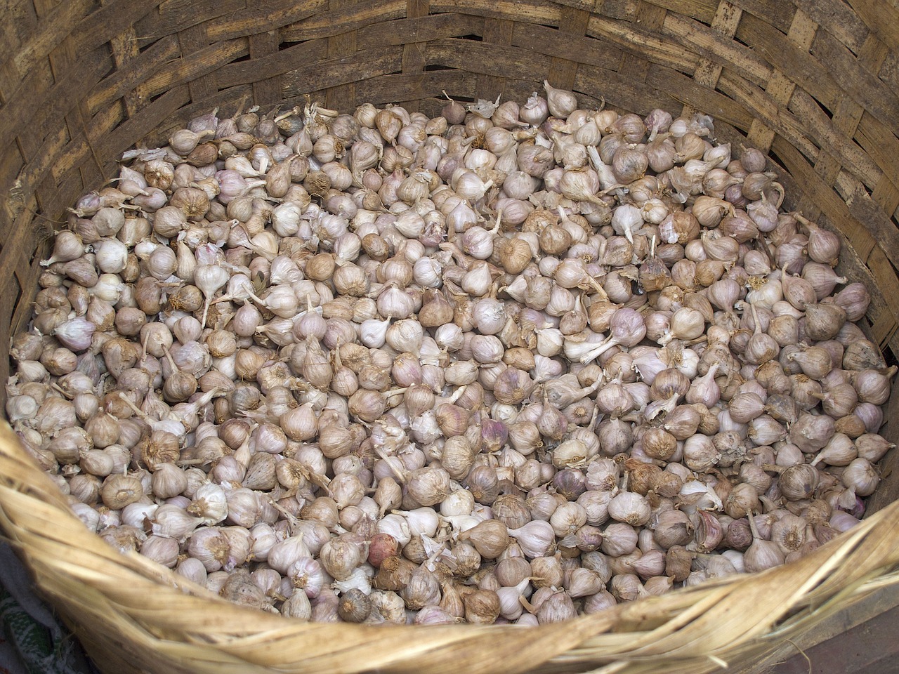 garlic basket market free photo