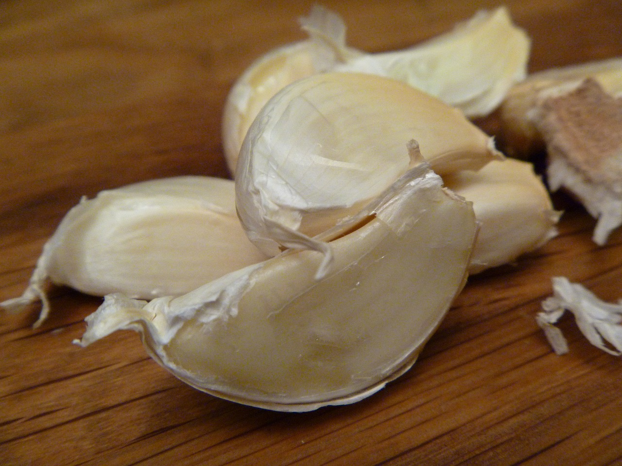 garlic food ingredient free photo