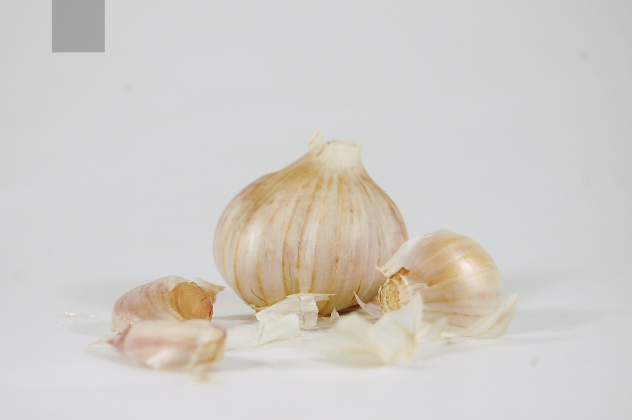 garlic health spice free photo