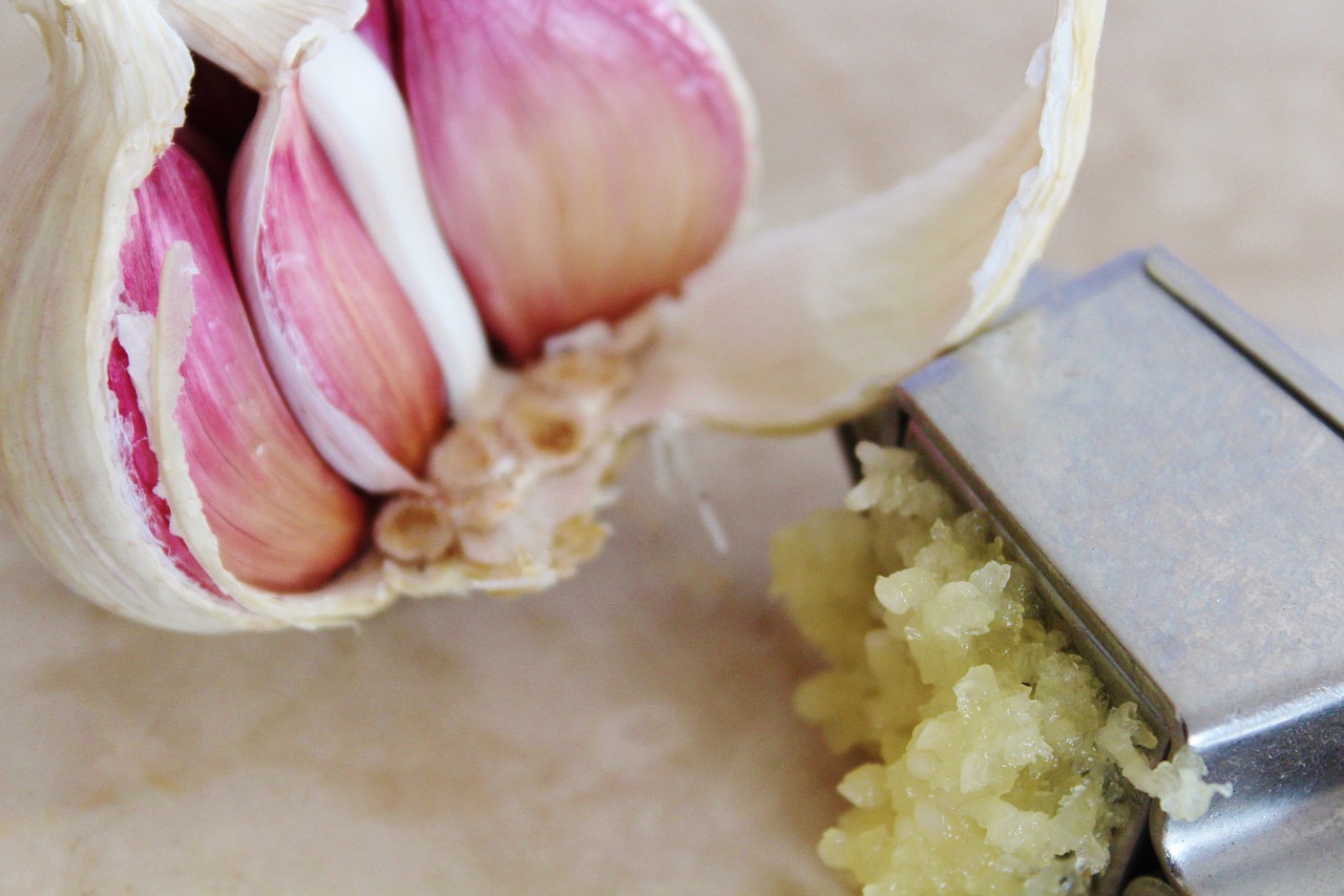 garlic garlic press spice free photo