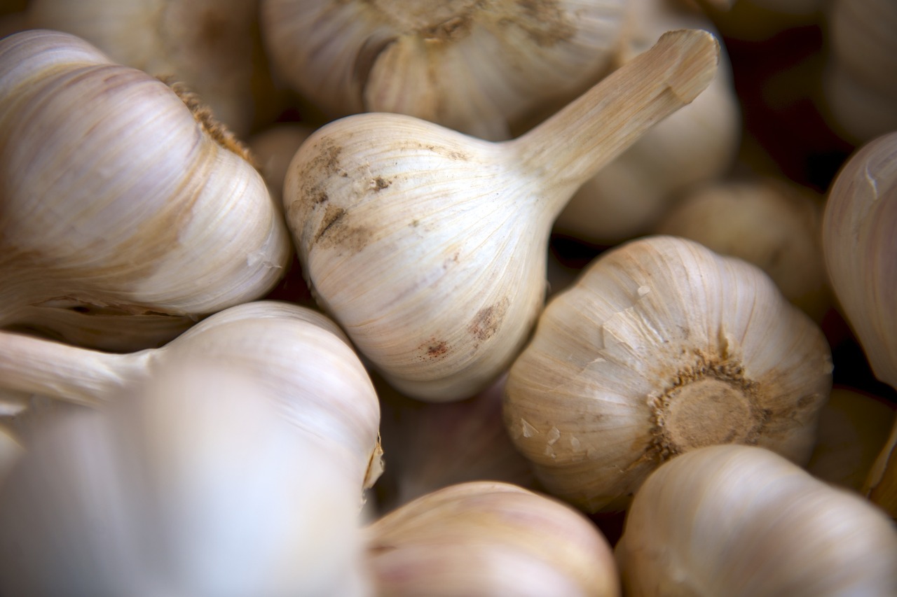 garlic cloves food free photo