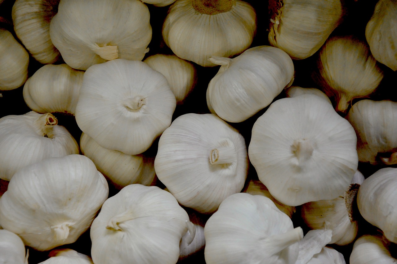 garlic vegetables food free photo