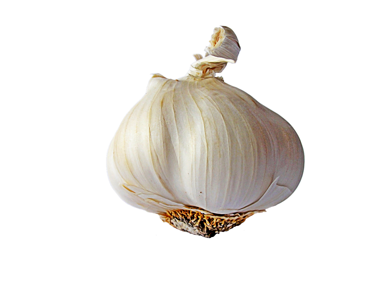 garlic head of garlic vegetables free photo