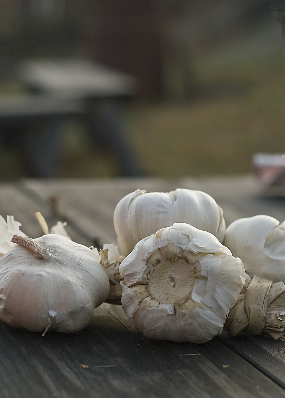 garlic mat onion free photo